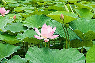 《审判之逝：湮灭的记忆》第4弹最新情报  全面进化的战斗动作